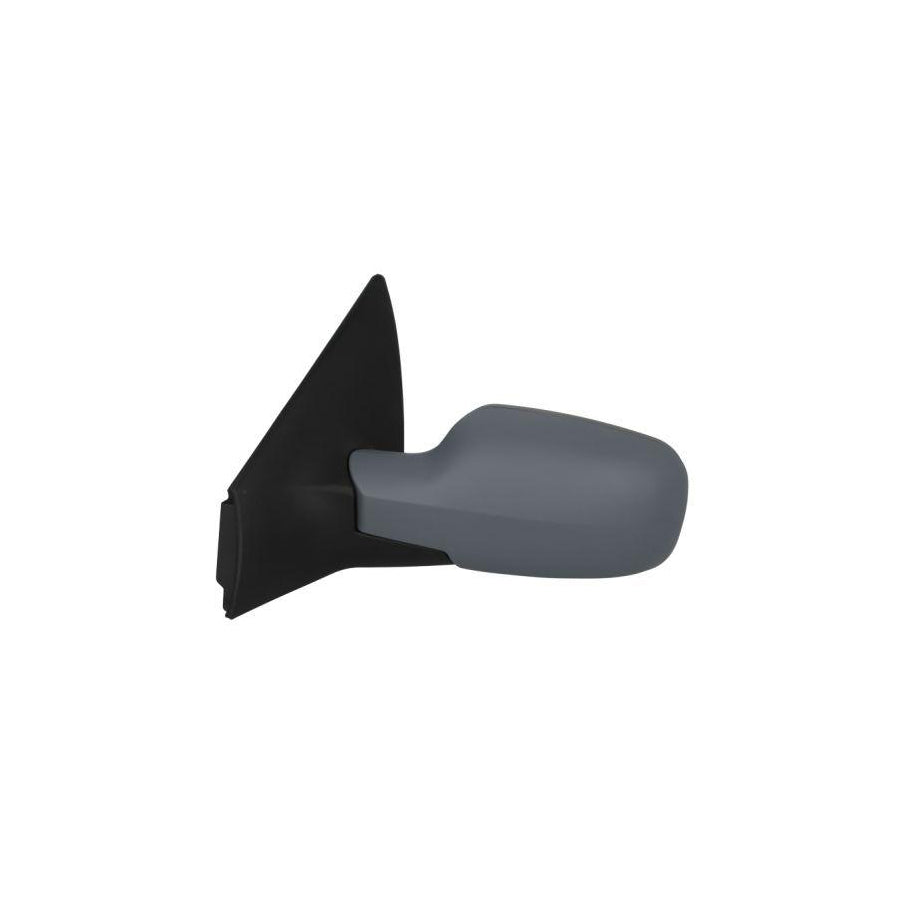 Blic 5402-04-1139228P Wing Mirror For Renault Megane