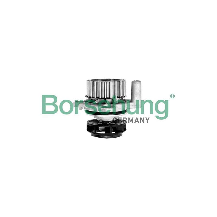 Borsehung B12688 Water Pump