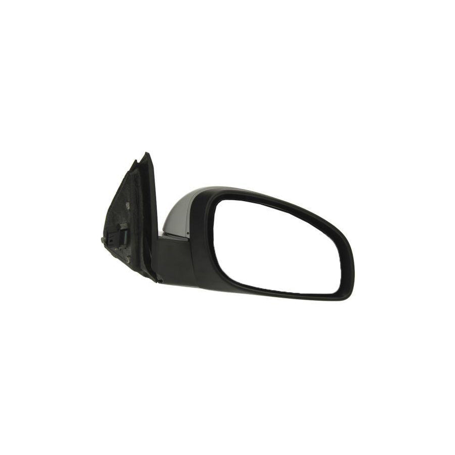 Blic 5402-04-1139226P Wing Mirror