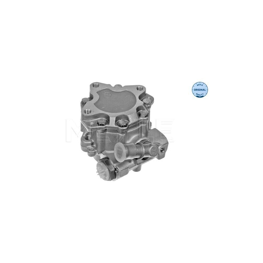 Meyle 114 631 0006 Power Steering Pump