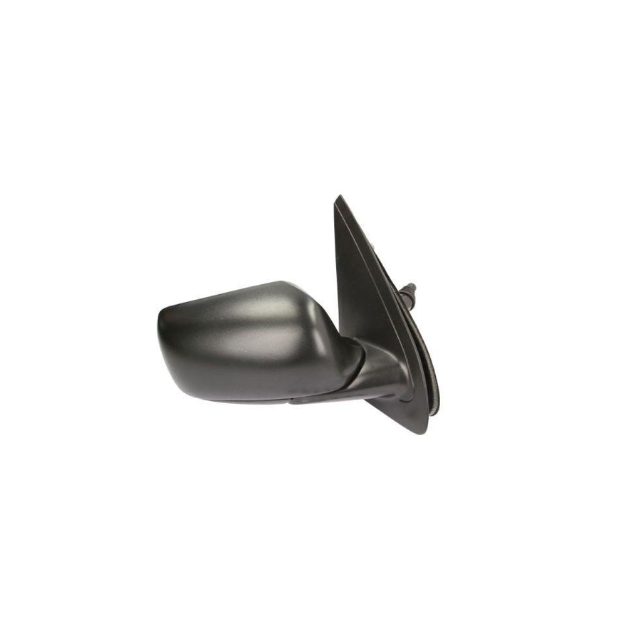 Blic 5402-04-1115272P Wing Mirror