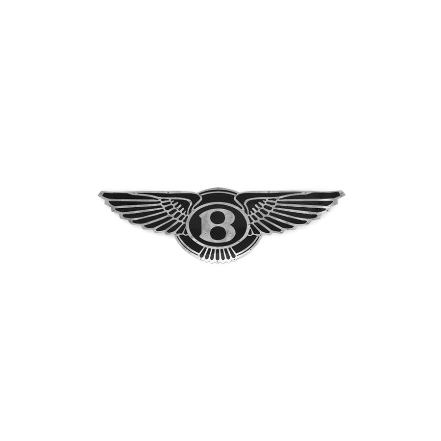 Fabspeed Carbon Fiber Wall Art - Bentley | ML Performance UK