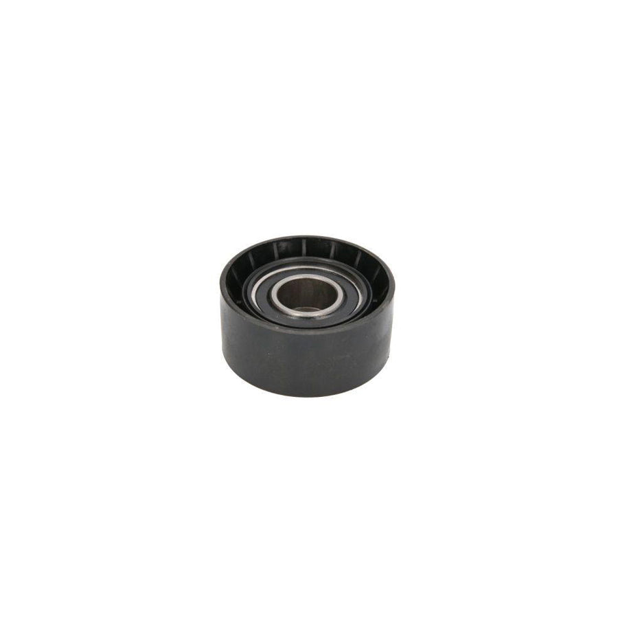 Bta B05-Ag-060 Tensioner Pulley