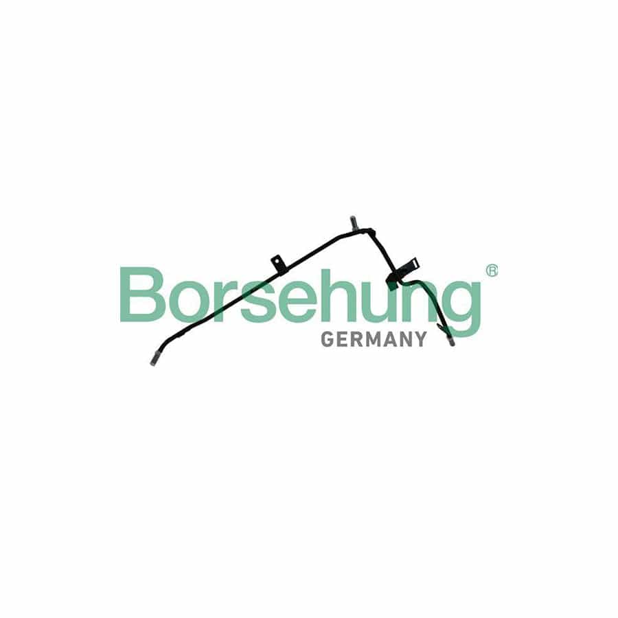 Borsehung B19219 Coolant Tube