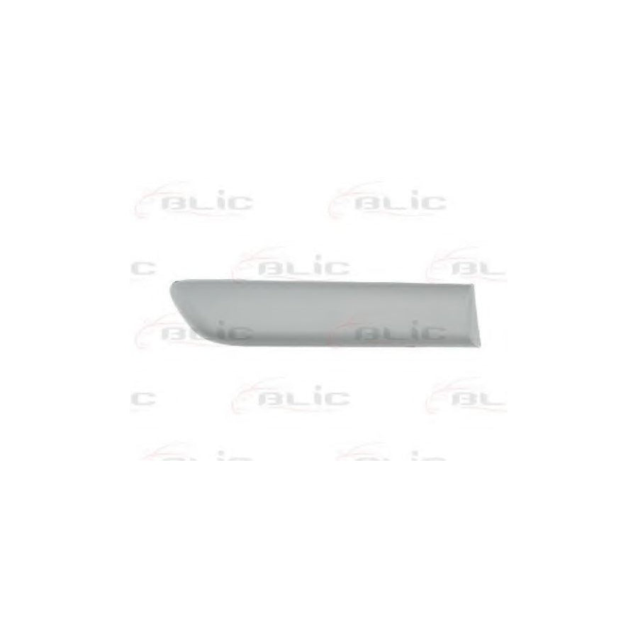 Blic 5703-04-2023462Pp Trim / Protective Strip, Mudguard For Fiat Punto II Hatchback (188)