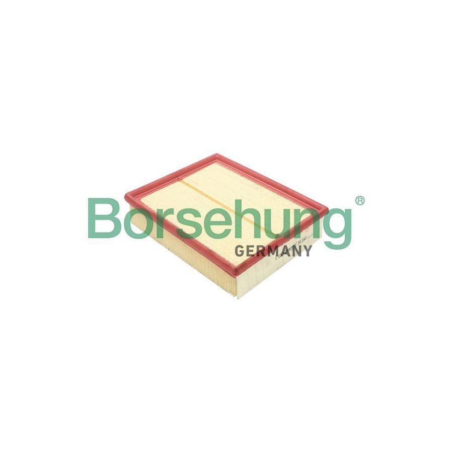 Borsehung B12804 Air Filter