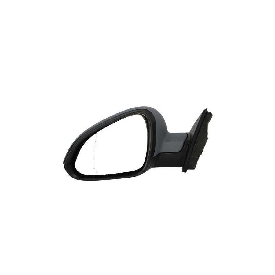 Blic 5402-04-1139222P Wing Mirror