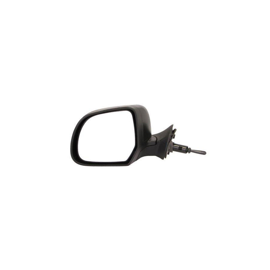 Blic 5402-67-003363P Wing Mirror