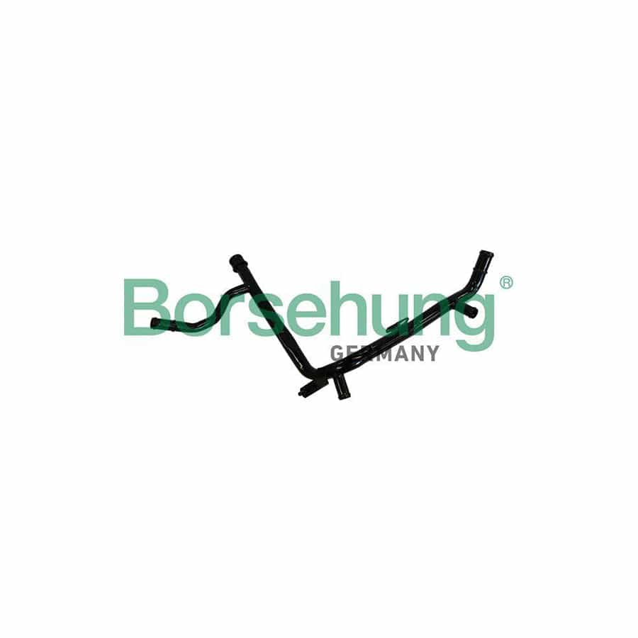 Borsehung B19217 Coolant Tube