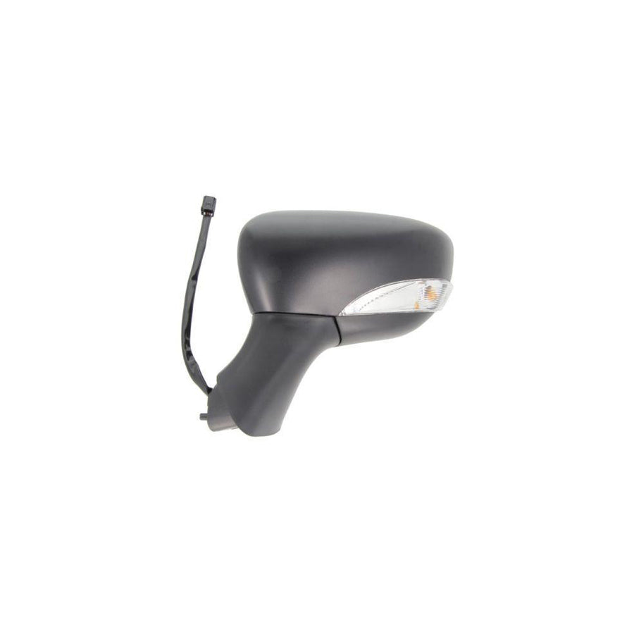 Blic 5402-09-2002125P Wing Mirror For Renault Clio