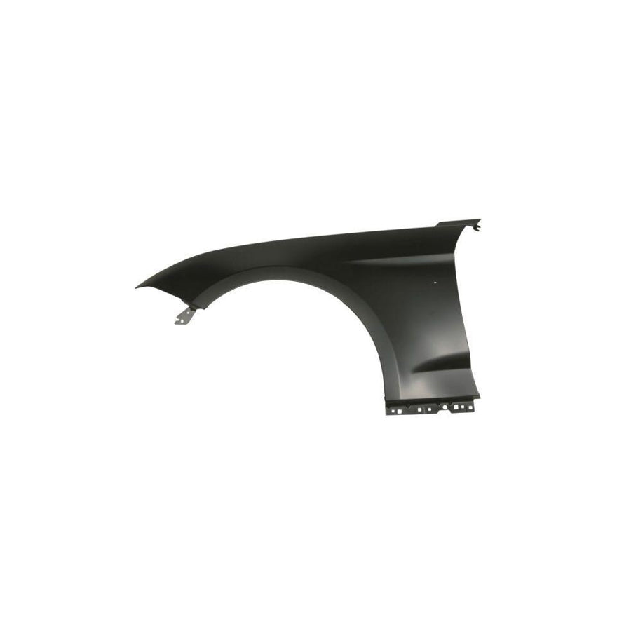 Blic 6504-04-2589315P Wing Fender For Ford Usa Mustang Mach-E