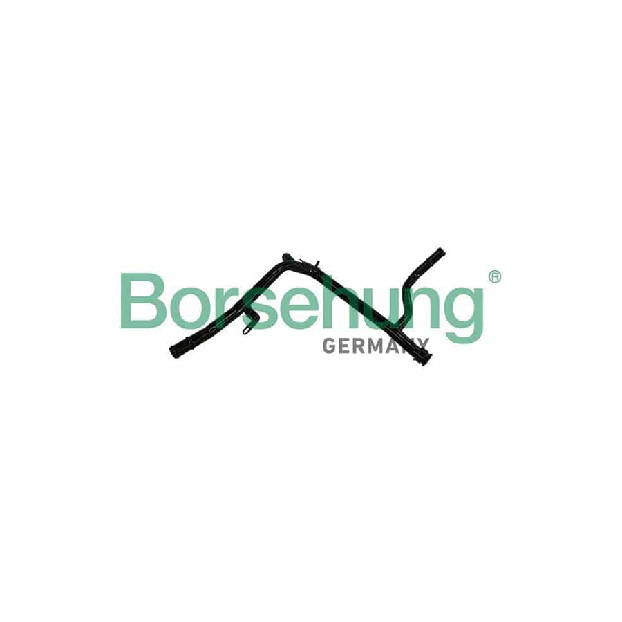 Borsehung B19216 Coolant Tube