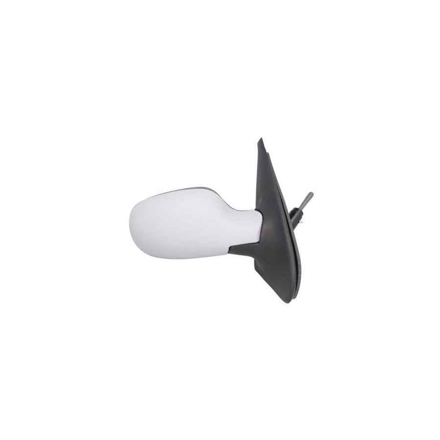 Blic 5402-09-2002124P Wing Mirror For Renault Clio