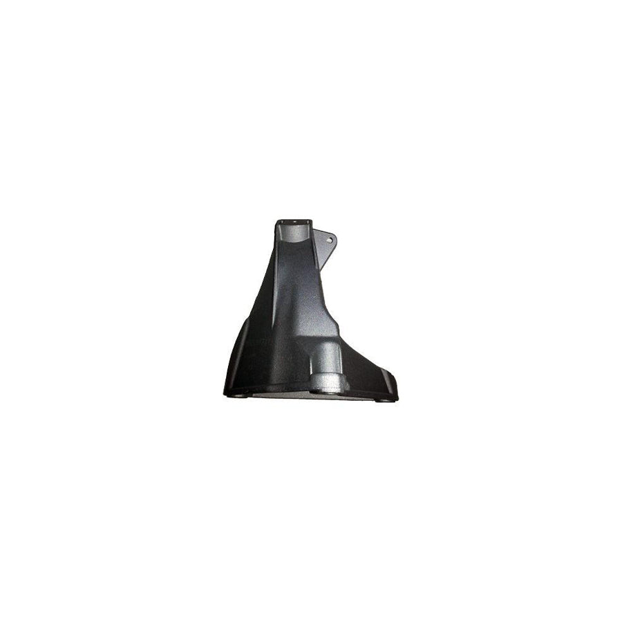 Bugiad BSP24296 Holder, Engine Mounting