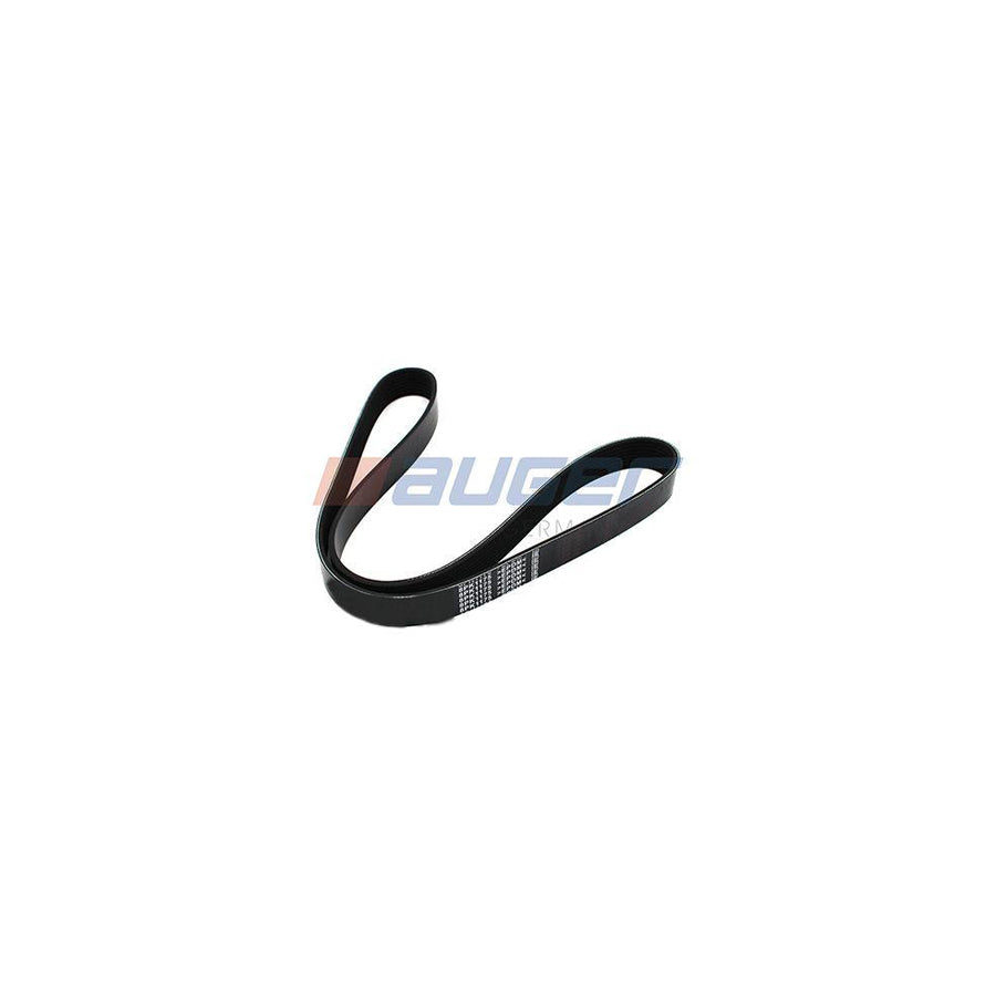 Auger 79907 V-Ribbed Belt