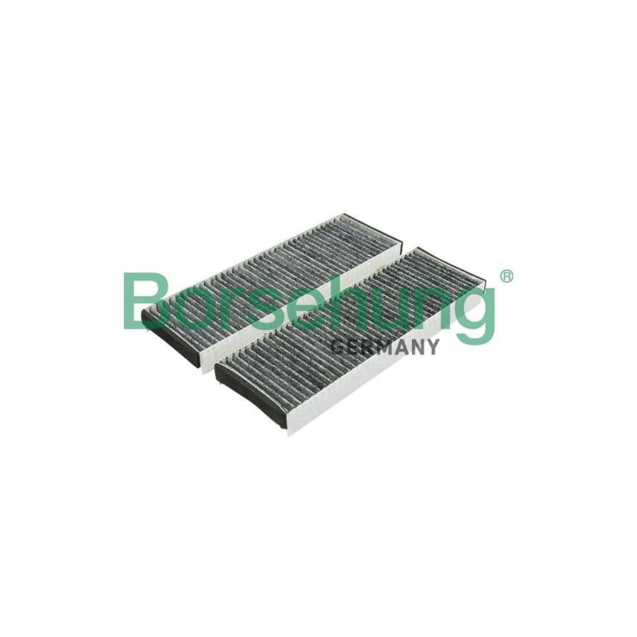 Borsehung B12802 Pollen Filter For Audi A6