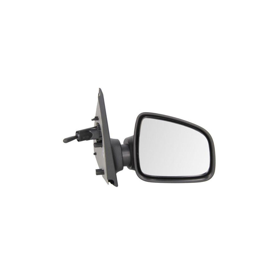 Blic 5402-67-2001144P Wing Mirror