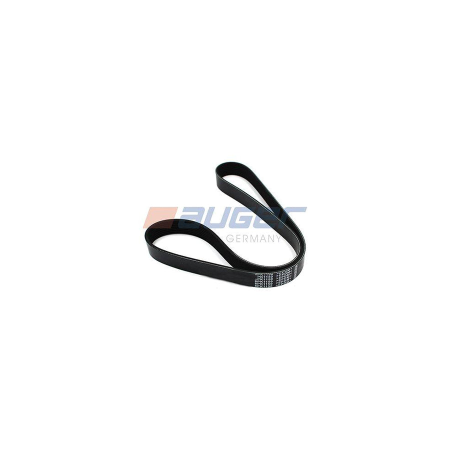 Auger 79905 V-Ribbed Belt