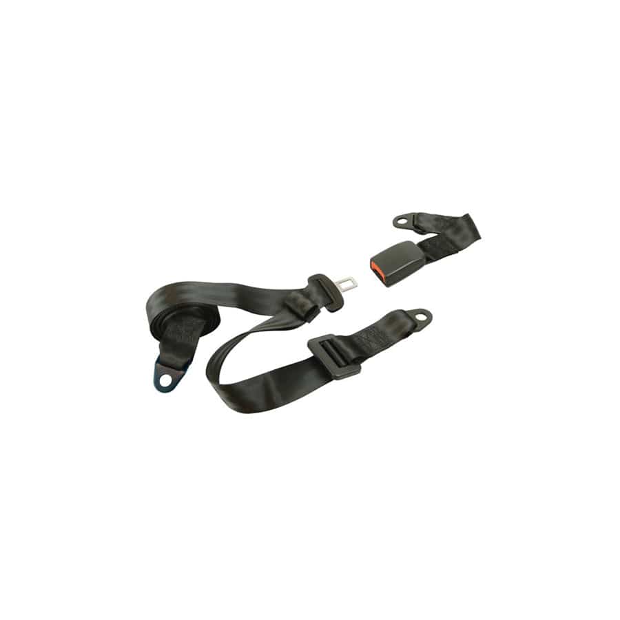 Carpoint 1434607 Safety Belt | ML Performance UK Car Parts