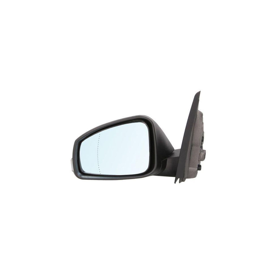 Blic 5402-09-2002173P Wing Mirror