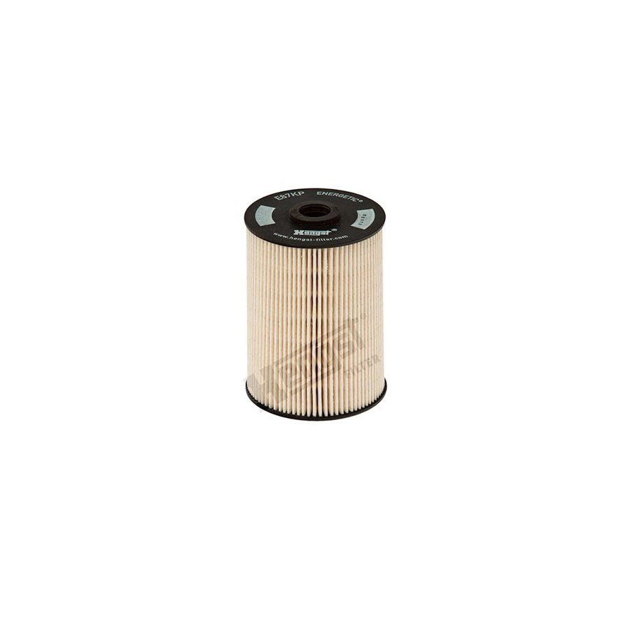 Hengst Filter E87Kp D150 Fuel Filter