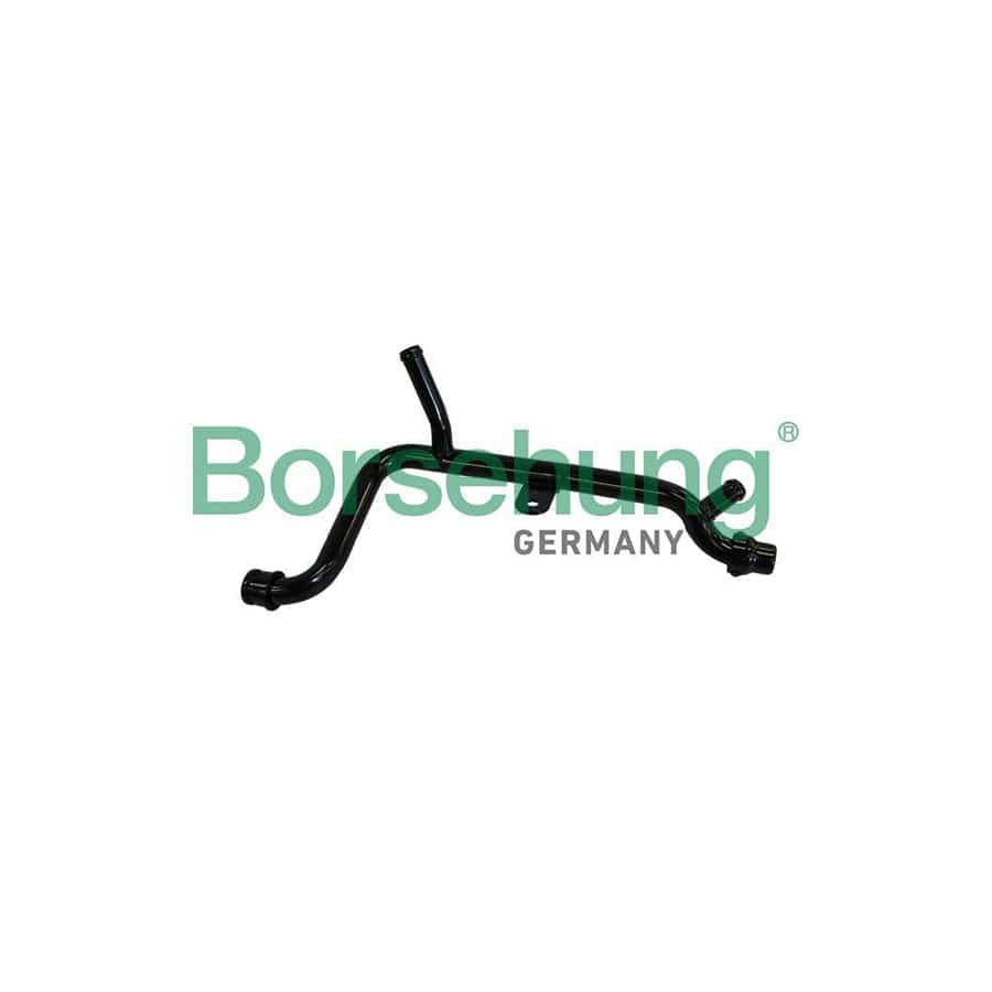 Borsehung B19212 Coolant Tube