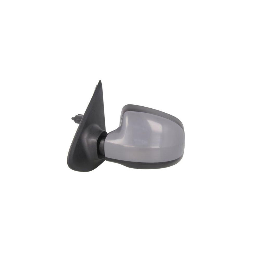 Blic 5402-67-2001141P Wing Mirror