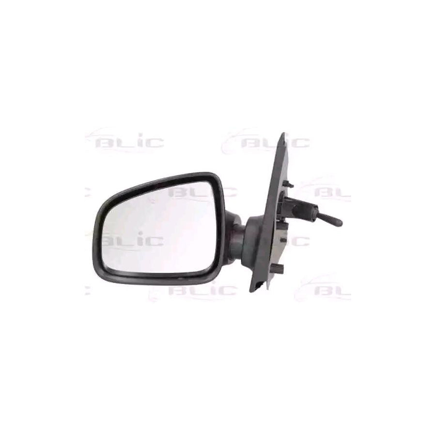 Blic 5402-67-2001139P Wing Mirror