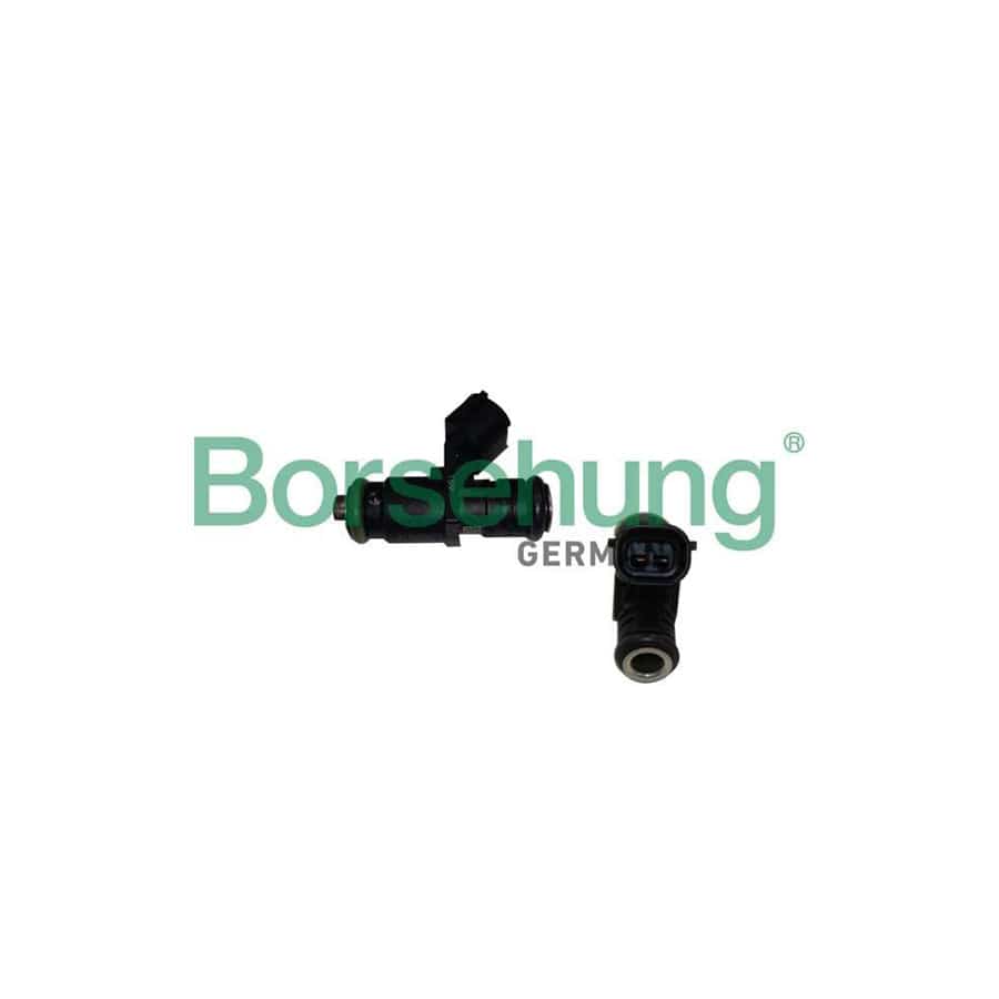 Borsehung B19238 Injector For Vw Polo V Hatchback (6R1, 6C1)