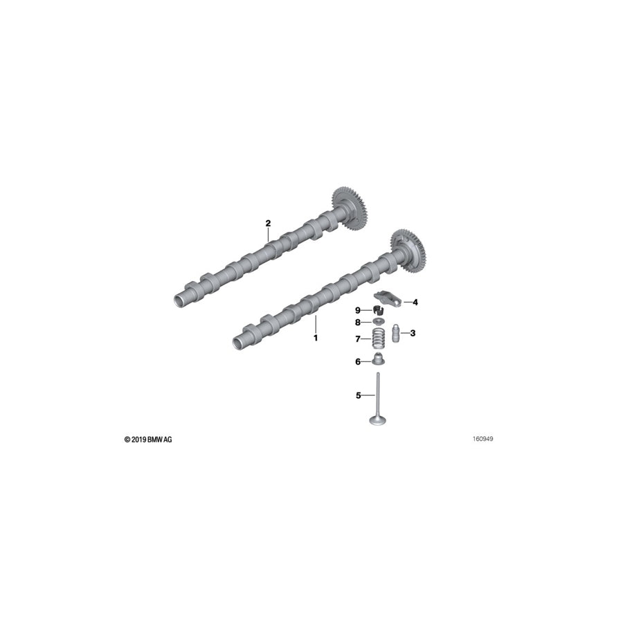 Genuine BMW 11347812618 F21 R56 Intake Valve 24,8/4,92mm (Inc. One D, 116d ed & Cooper D ALL4 1.6) | ML Performance UK Car Parts