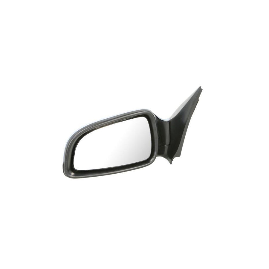 Blic 5402-04-1139237P Wing Mirror For Opel Astra