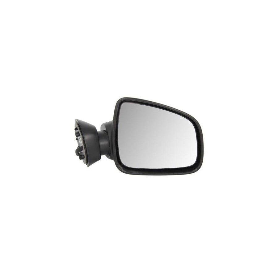 Blic 5402-67-2001134P Wing Mirror