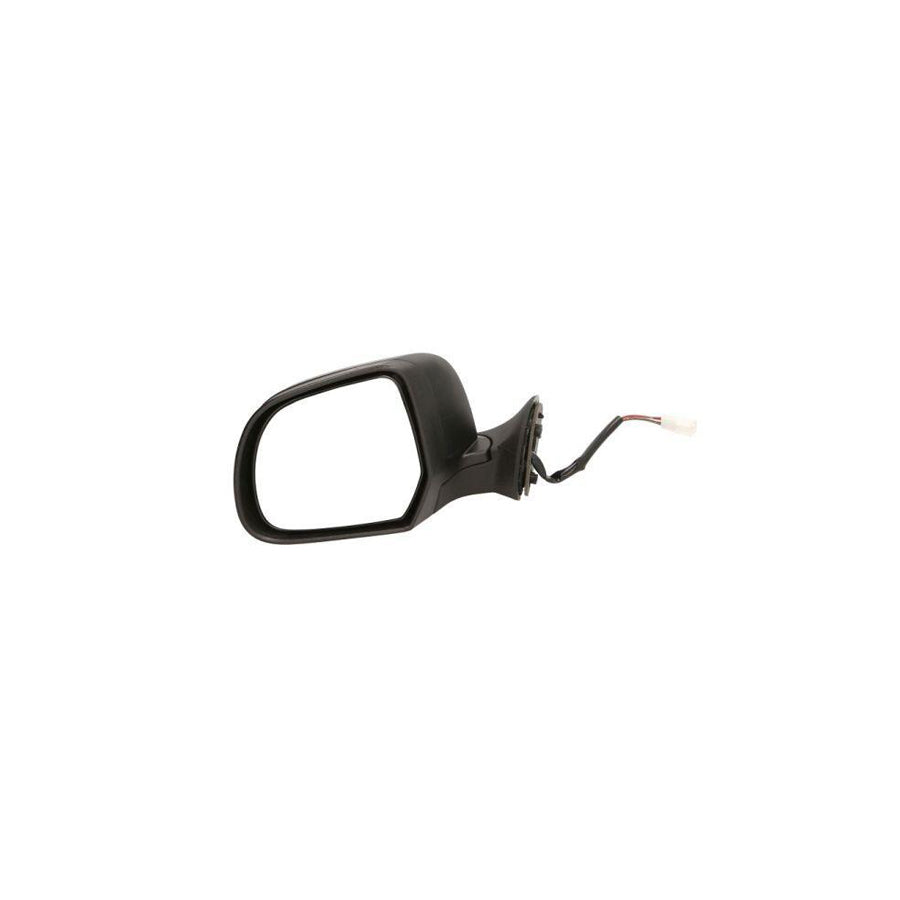 Blic 5402-67-2001133P Wing Mirror