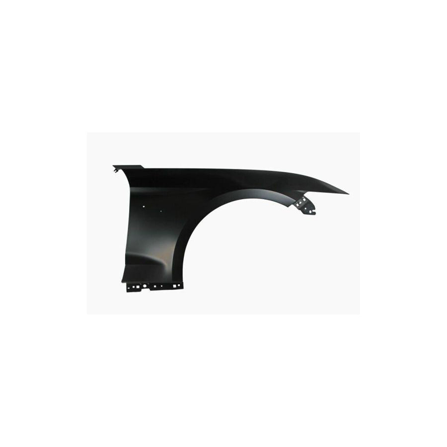 Blic 6504-04-2586314P Wing Fender For Ford Usa Mustang