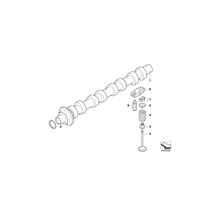 Genuine BMW 11347805971 R56 Valve Spring (Inc. Cooper D & One D) | ML Performance UK Car Parts