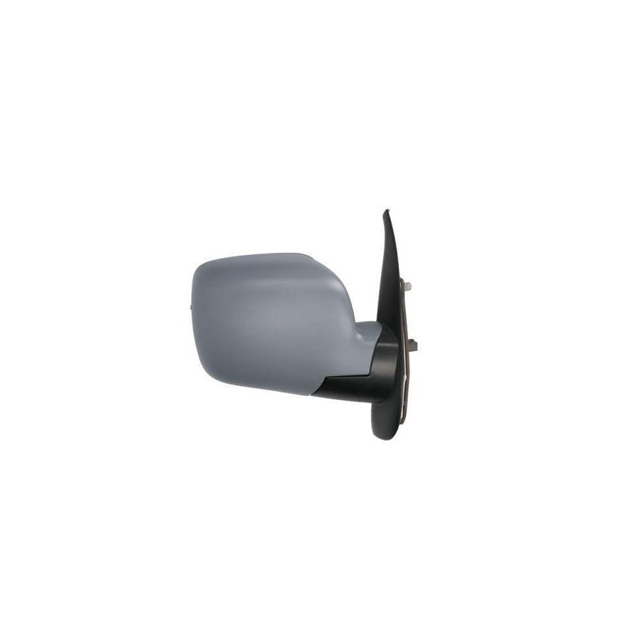 Blic 5402-09-2002162P Wing Mirror For Renault Kangoo