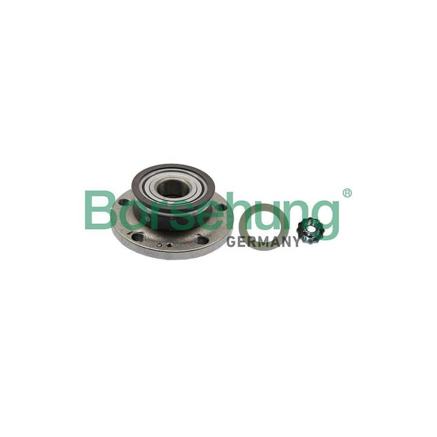 Borsehung B19237 Wheel Bearing Kit