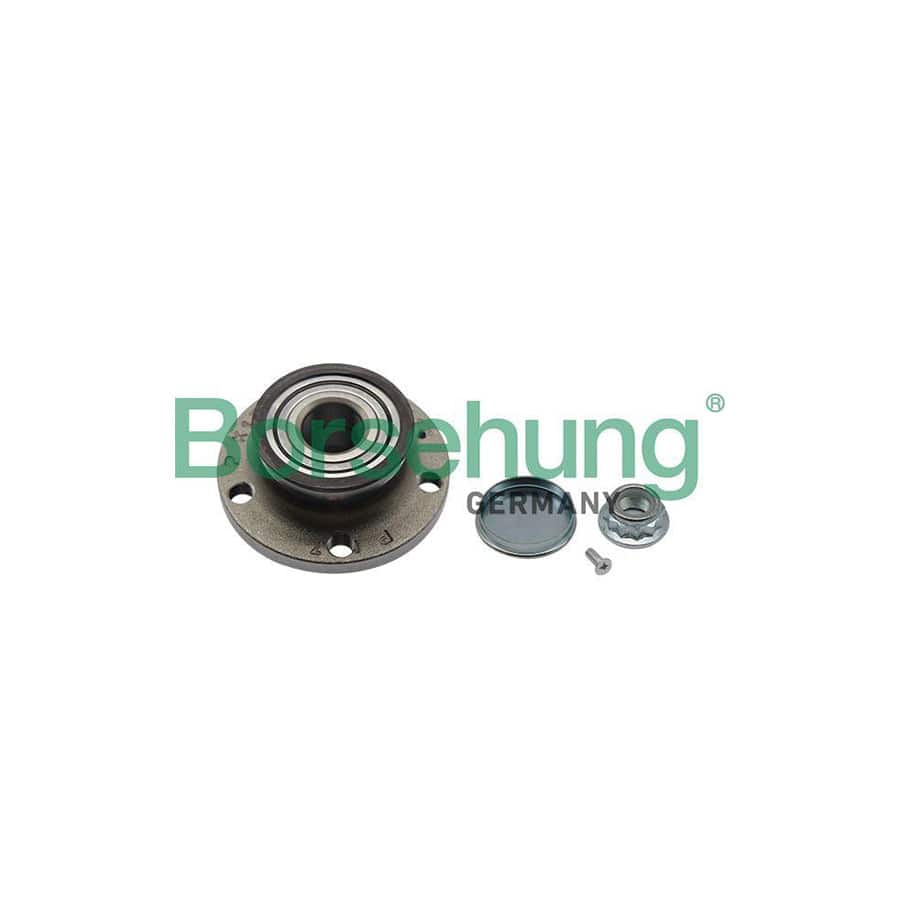 Borsehung B19236 Wheel Bearing Kit