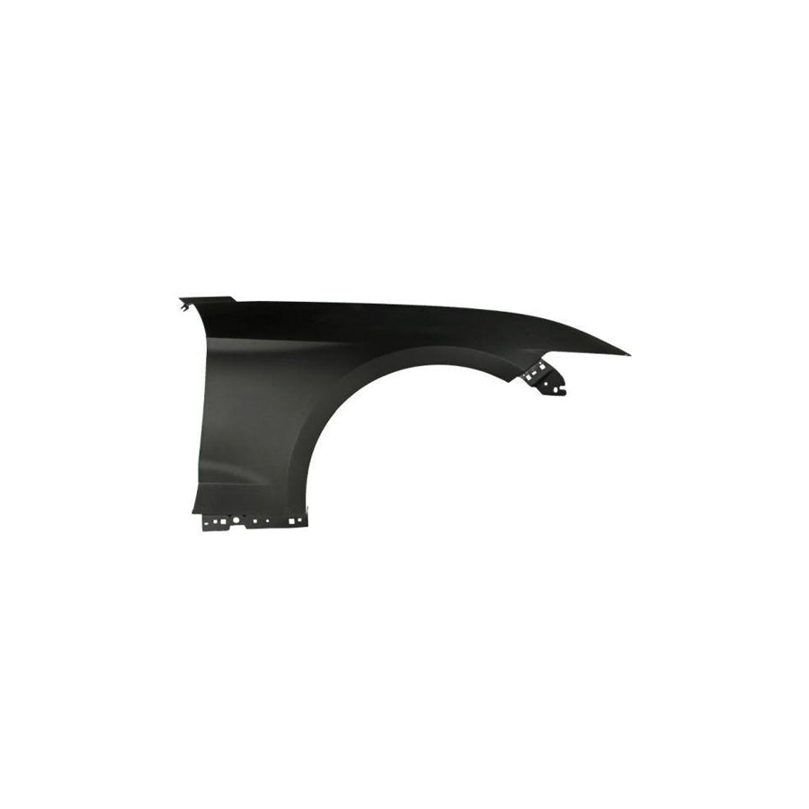 Blic 6504-04-2586312P Wing Fender For Ford Usa Mustang