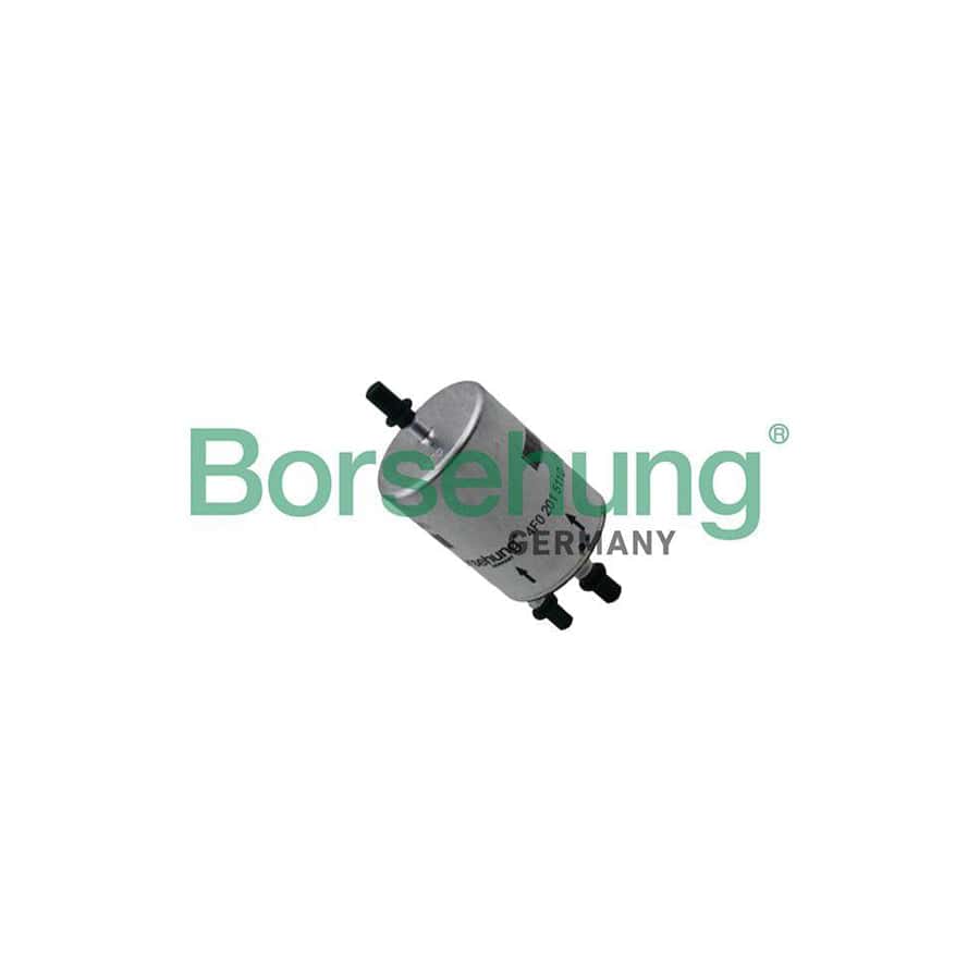 Borsehung B12793 Fuel Filter