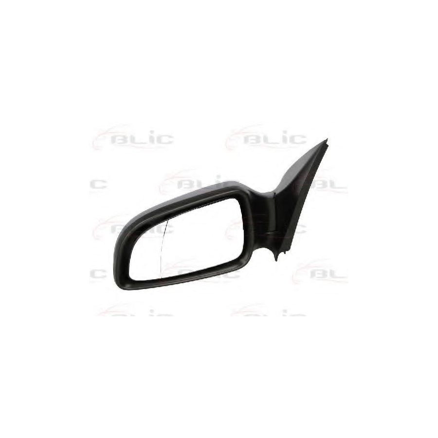 Blic 5402-04-1139235 Wing Mirror For Opel Astra