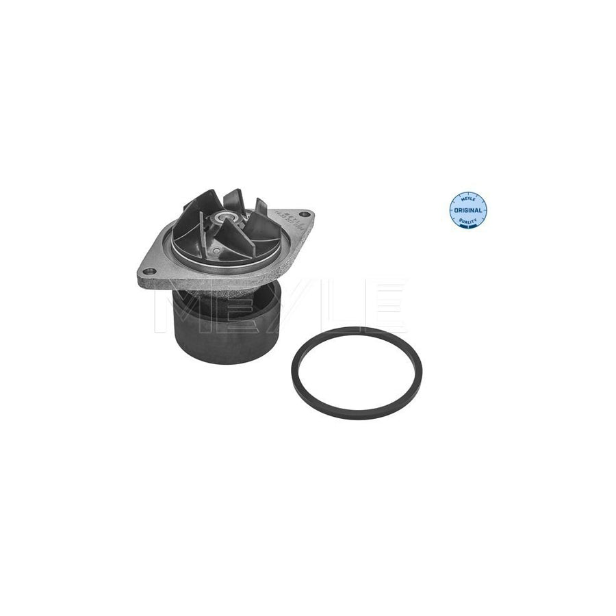 Meyle 14-33 220 0004 Water Pump