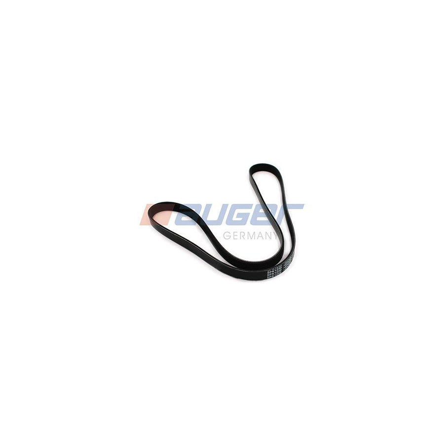 Auger 79895 V-Ribbed Belt