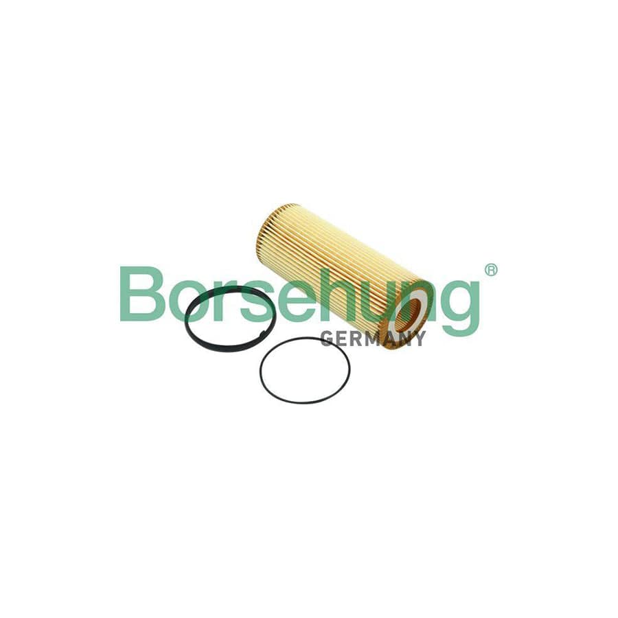 Borsehung B12820 Oil Filter