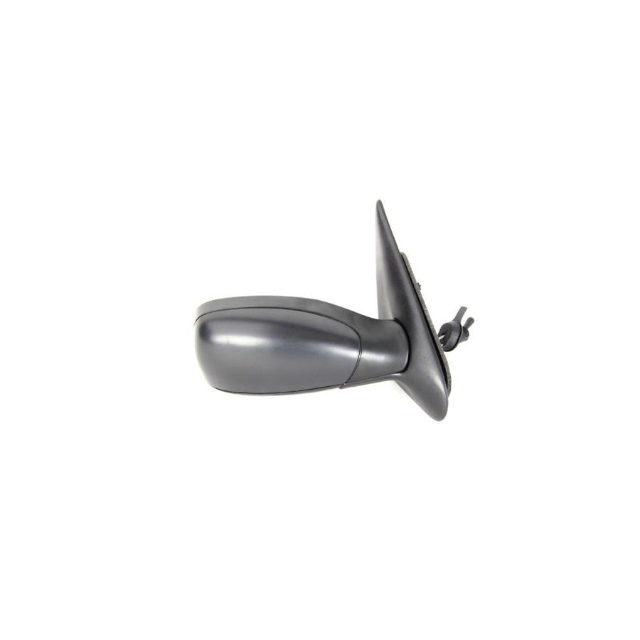 Blic 5402-04-1115290P Wing Mirror For Peugeot 306