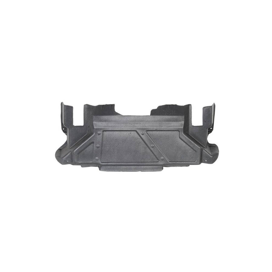 Blic 6601-02-3560880P Skid Plate Suitable For Mercedes-Benz Ml-Class (W163)