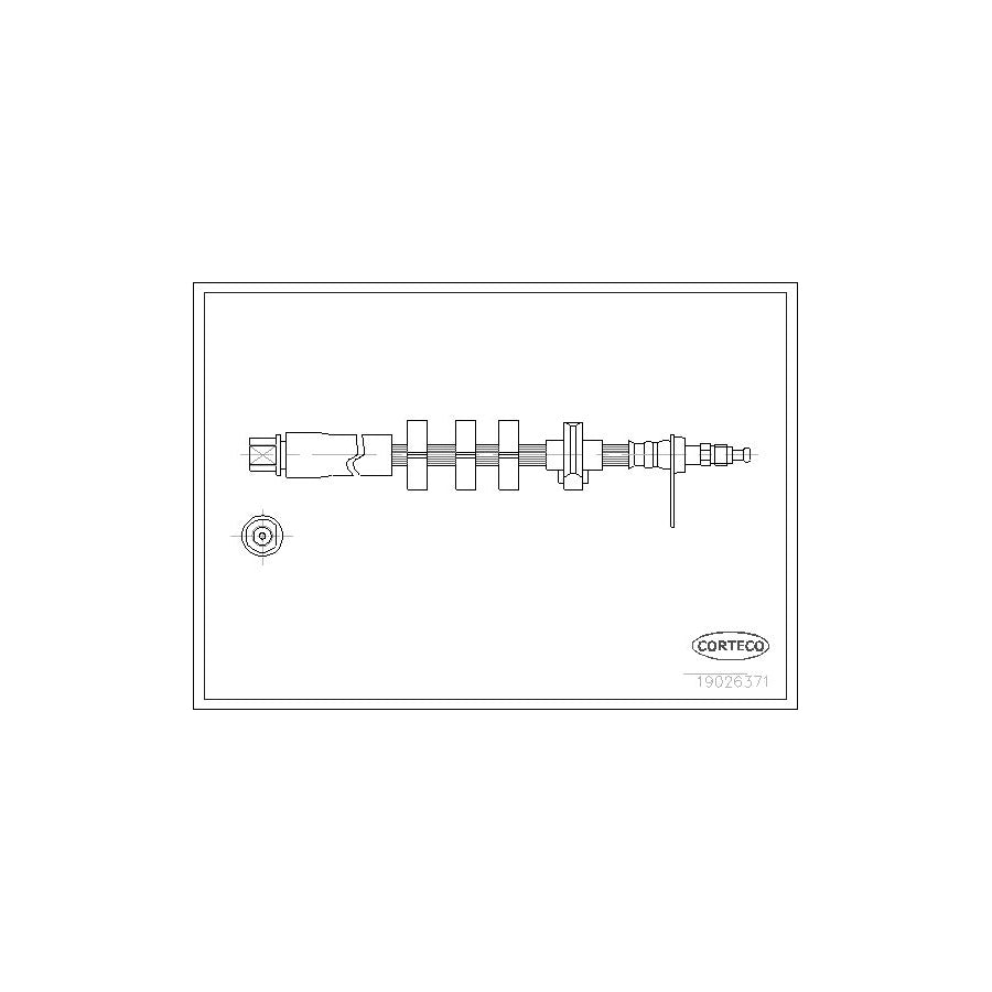 Corteco 19026371 Brake Hose For Peugeot 406 | ML Performance UK