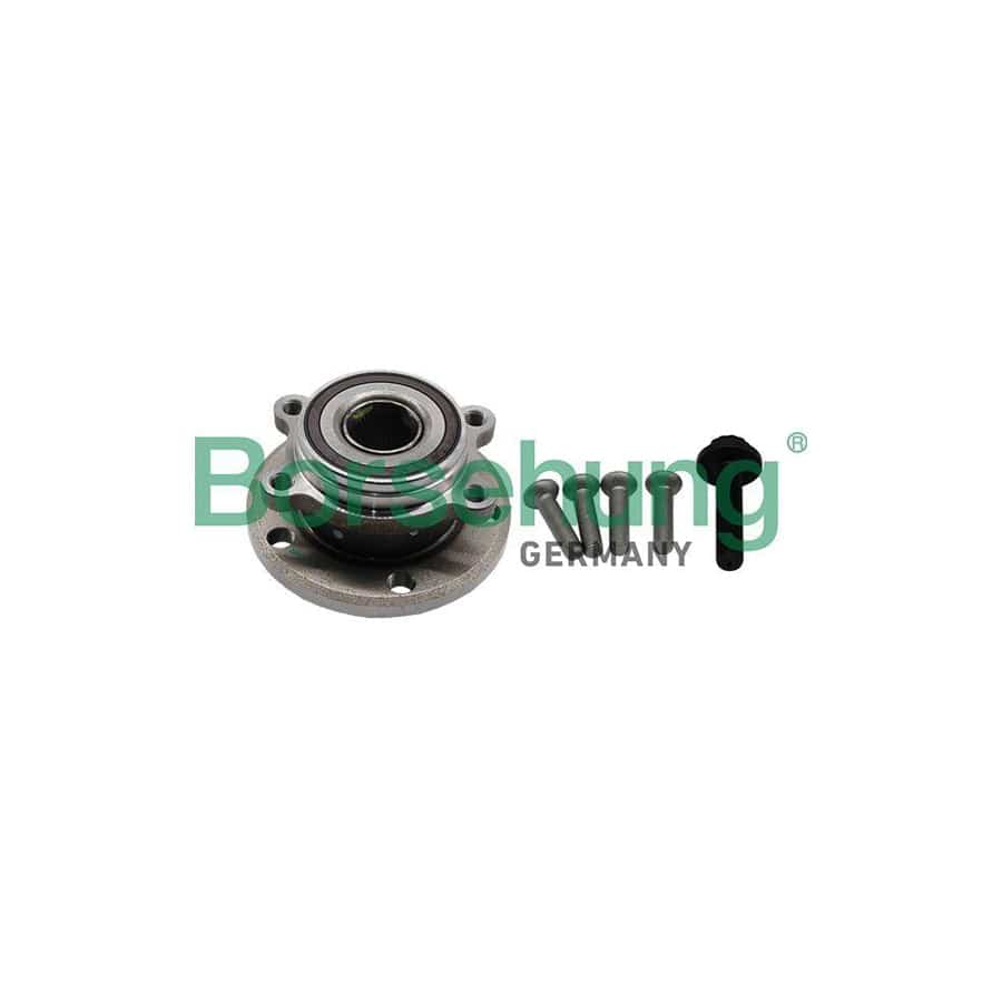 Borsehung B19233 Wheel Bearing Kit