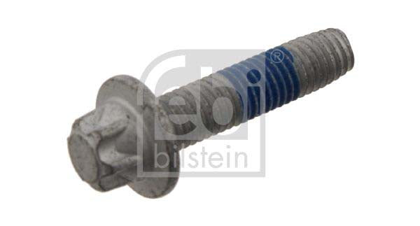 Febi Bilstein 31043 Screw | ML Performance UK Car Parts