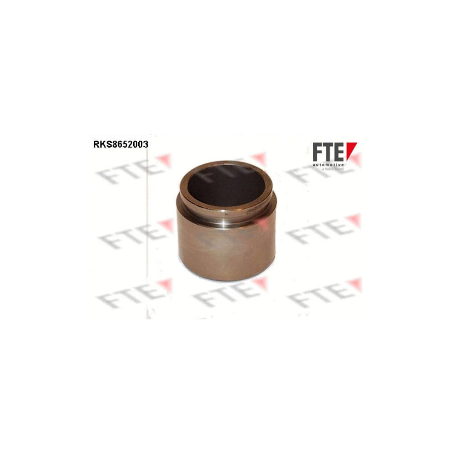 Fte 9313463 Piston, Brake Caliper | ML Performance UK Car Parts